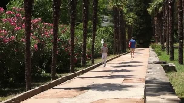 Chica corriendo en el parque. Niño sosteniendo red de mariposas. Ella corriendo a atrapar mariposas — Vídeos de Stock