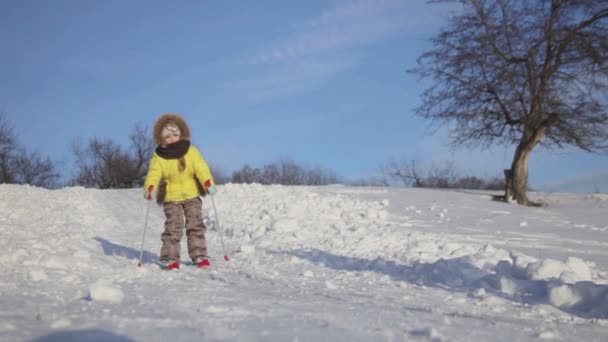 Симпатична маленька дівчинка катається на сніговому пагорбі на лижах — стокове відео