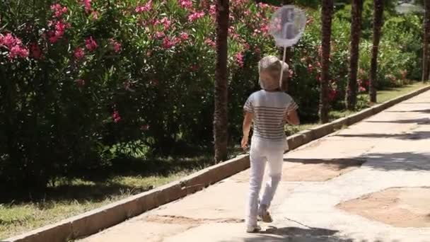 Ragazza sorridente con una rete a farfalla guardando la fotocamera e agitando la mano — Video Stock