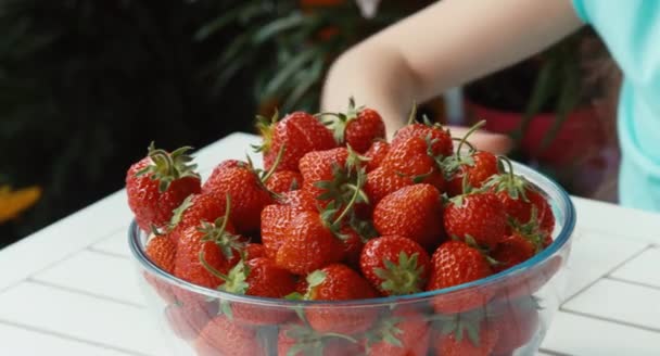 Flicka som kramar en stor tallrik jordgubbar tittar på kameran och leende — Stockvideo