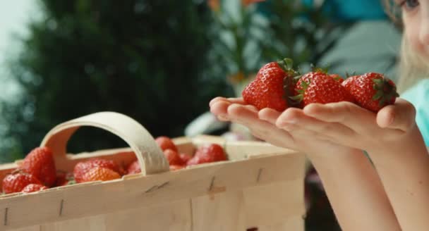 Dívka čichání jahody. Dítě s hrstkou jahod — Stock video