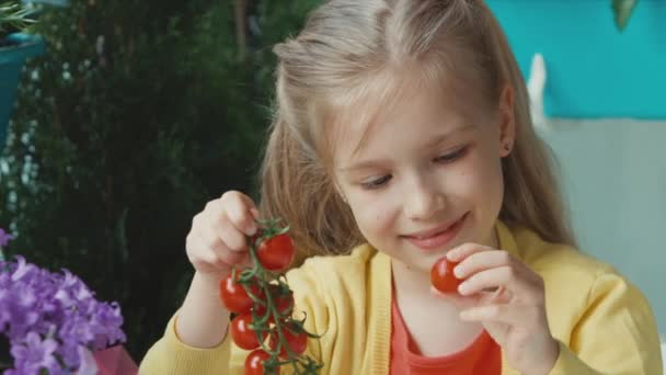 チェリー トマトの束を押しながらカメラ目線の女の子。トマトを食べて、笑いの子。親指を。わかりました — ストック動画