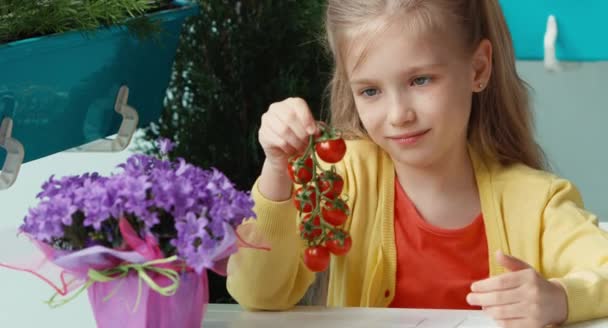 Rindo menina segurando um monte de tomates cereja e olhando para a câmera. Polegar para cima. Está bem. — Vídeo de Stock