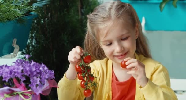 Dívka drží banda cherry rajčátky a při pohledu na fotoaparát. Dítě jí rajče a směje se. Palec nahoru. Ok — Stock video