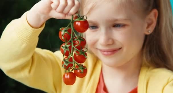 Retrato close-up menina sorrindo segurando um monte de tomates cereja e olhando para ele. Polegar para cima. Está bem. — Vídeo de Stock