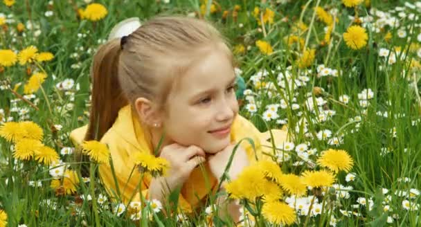 Closeup portrait laughing girl lying in the grass and looking at camera — Stock Video