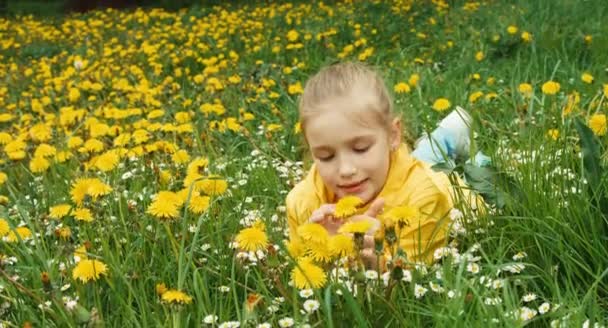 Closeup portrait child lying on the grass among yellow flowers — Stock Video