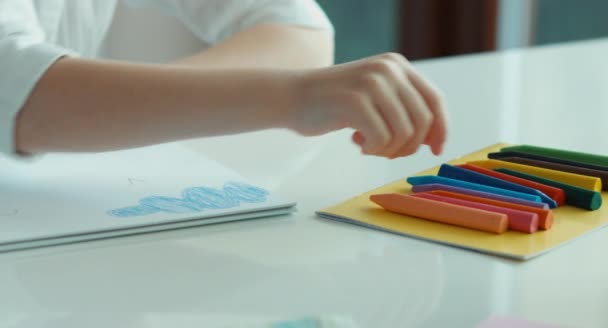 Child chooses a pencil and drawing a bird — Stock Video