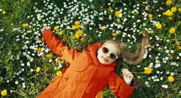 Retrato sonriente chica acostada en la hierba y mirando a la cámara. Chica con un abrigo rojo y gafas de sol. Chica sosteniendo flores en su mano. Panorama — Vídeo de stock