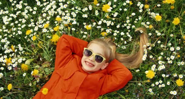 Closeup portrait girl lying in the grass and looking at the camera. Thumbs up. Ok — Stock Video