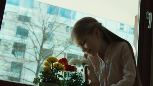 Gelukkig meisje bewonderen van bloemen — Stockvideo