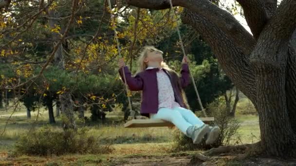 Preschooler girl in sunglasses having fun on a swing — Stock Video