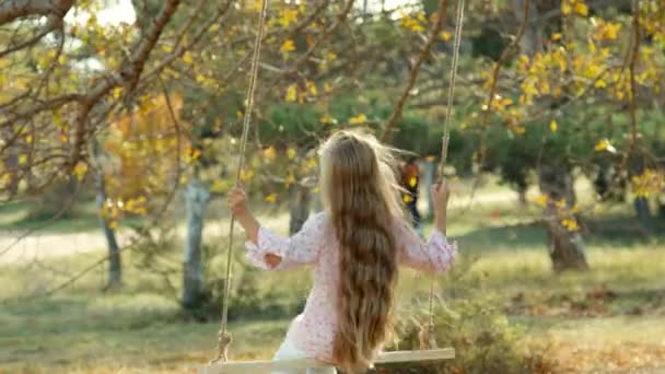 Portrait of a girl on a swing back at the camera. Child turns at camera — Stock Video