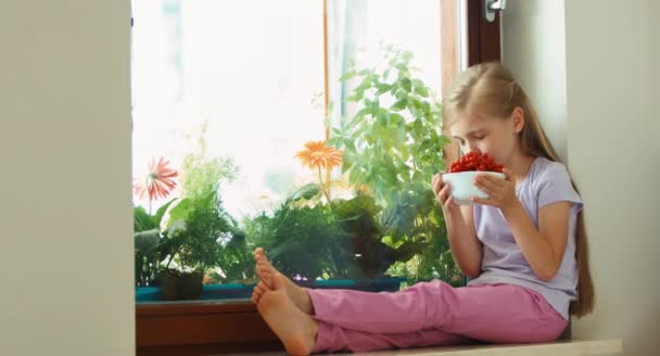 Menina cheirando groselhas vermelhas doces muito saborosas na tigela e sorrindo para a câmera. Criança sentada no parapeito da janela — Vídeo de Stock