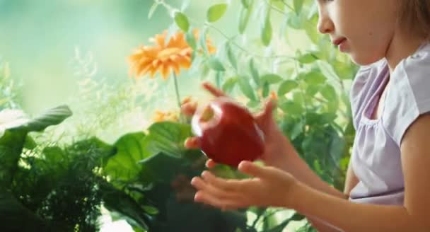 Girl playing with red apple and sniffing fruit. Child sitting on a window sill near the window and looking at camera — Αρχείο Βίντεο