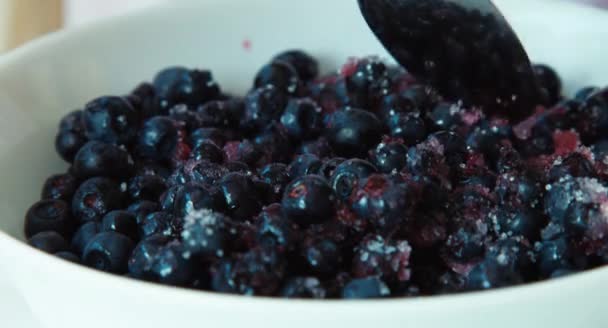 Blueberries with sugar. Closeup — ストック動画
