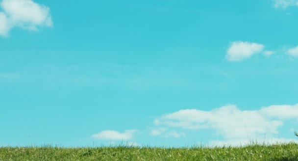 Girl running with red balloons on the field against the sky. Child is in yellow raincoat — Stock Video