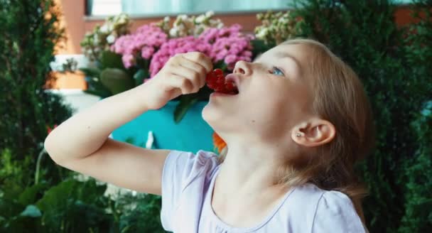 Chica comiendo grosellas rojas dulces muy sabrosas y riendo de la cámara. Niño sentado en la mesa en el jardín. Grandes ojos. Pulgar hacia arriba. Ok. — Vídeos de Stock