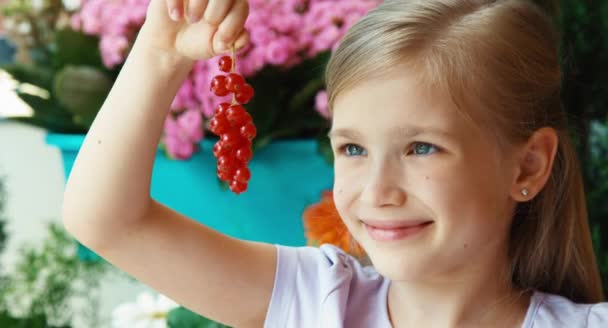 La ragazza annusa e mostra un mucchio di ribes rosso. Ragazza che gioca con ribes. Primo piano — Video Stock