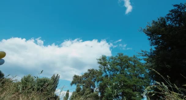 Дошкольница, гуляющая с воздушными шарами в парке — стоковое видео