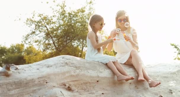 La famille souffle des bulles au coucher du soleil. Mère et fille assises sur un grand arbre — Video