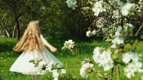 Chica 7-8 años girando en el vestido blanco en el parque cerca del árbol en flor — Vídeo de stock