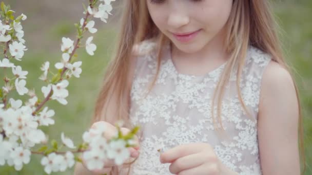 Chica en el vestido blanco mirando a los árboles blancos — Vídeo de stock