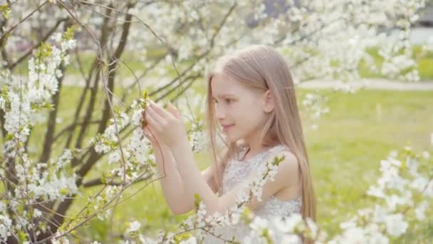 Portret meisje in de witte jurk in de witte bomen — Stockvideo