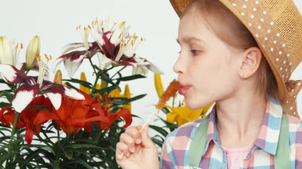 Крупный план портрет цветочница сидит рядом с цветами и ест леденец и исследует цветы — стоковое видео