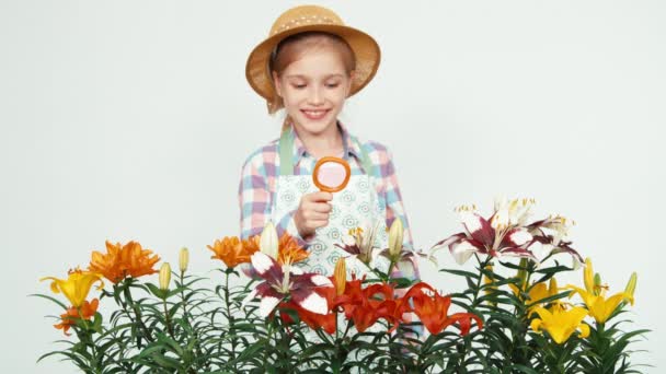 Flower-girl usando lupa mirando flores y sonriendo con dientes sobre fondo blanco — Vídeo de stock