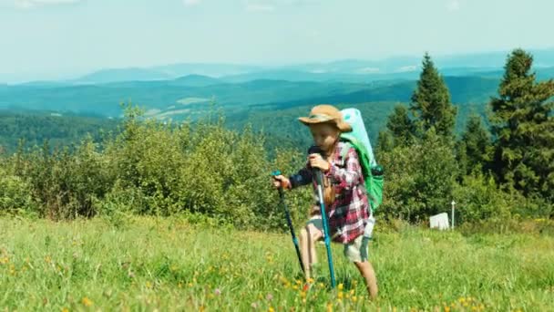 Menina caminhante subindo a colina no fundo das montanhas. Panning — Vídeo de Stock