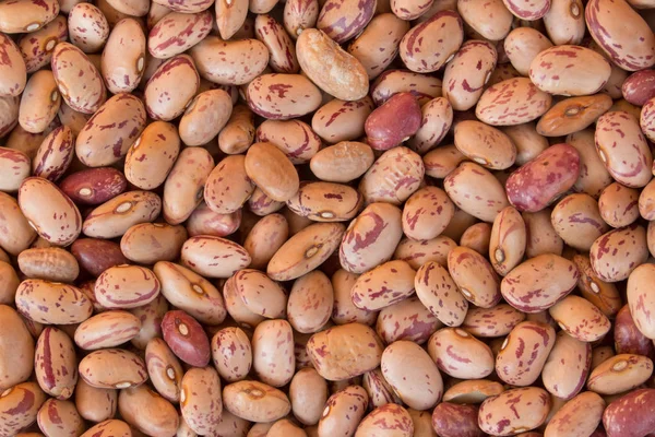 Close-up of a pile of pinto beans, fills the frame