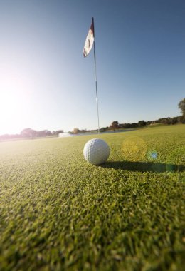 Golf topu yeşil düşük açılı çekim
