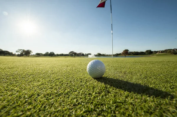 Golf ball on green low angle — Stock Photo, Image