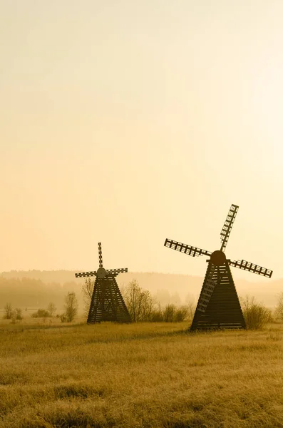 Traditionell Väderkvarn Gräsmark Det Morgon Taget Europa Royaltyfria Stockfoton