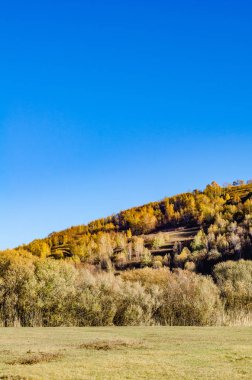 Moğol plat çekilen derin sonbahar/fotoğraf içinde otlak görünümünü