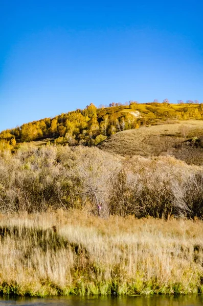 Vista Della Prateria Autunno Profondo Foto Scattata Sulla Pianura Mongola — Foto Stock