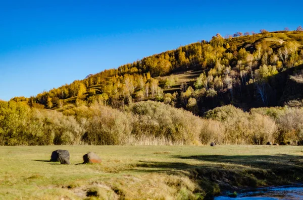 Weergave Van Het Grasland Diepe Herfst Foto Genomen Mongoolse Plat — Stockfoto