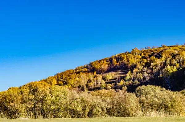 Vista Los Pastizales Otoño Profundo Foto Tomada Parcela Mongolia —  Fotos de Stock