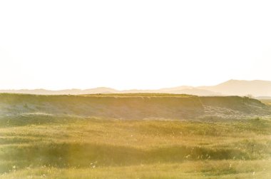 otlak derin sonbahar / / / alınan Kuzey Çin'in içinde