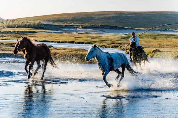 Courant Dans Rivière Cheval Coucher Soleil Pris Oct 2017 Chine — Photo