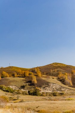 otlak derin sonbahar / / / alınan Kuzey Çin'in içinde