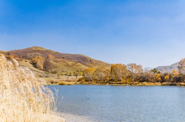 Mavi gökyüzü / / / alınan derin sonbahar Çin'altında otlak gölü etrafında bizimkiler yaşar