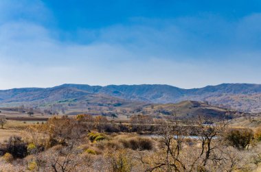 otlak derin sonbahar / / / alınan Kuzey Çin'in içinde