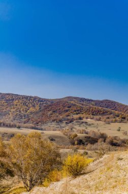 çayır kuzeyinde Çin alınan derin sonbahar/fotoğraf.