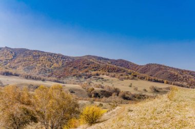 çayır kuzeyinde Çin alınan derin sonbahar/fotoğraf.