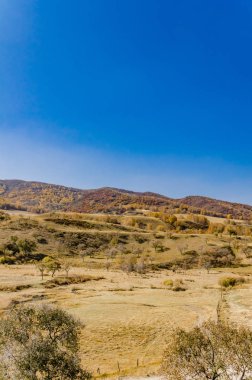 çayır kuzeyinde Çin alınan derin sonbahar/fotoğraf.