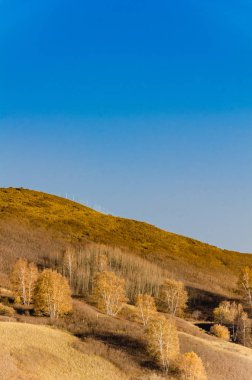 çayır kuzeyinde Çin alınan derin sonbahar/fotoğraf.