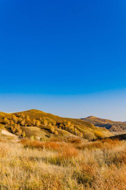 çayır kuzeyinde Çin alınan derin sonbahar/fotoğraf.