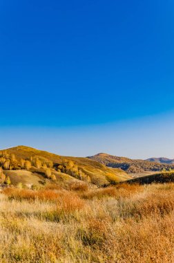 çayır kuzeyinde Çin alınan derin sonbahar/fotoğraf.